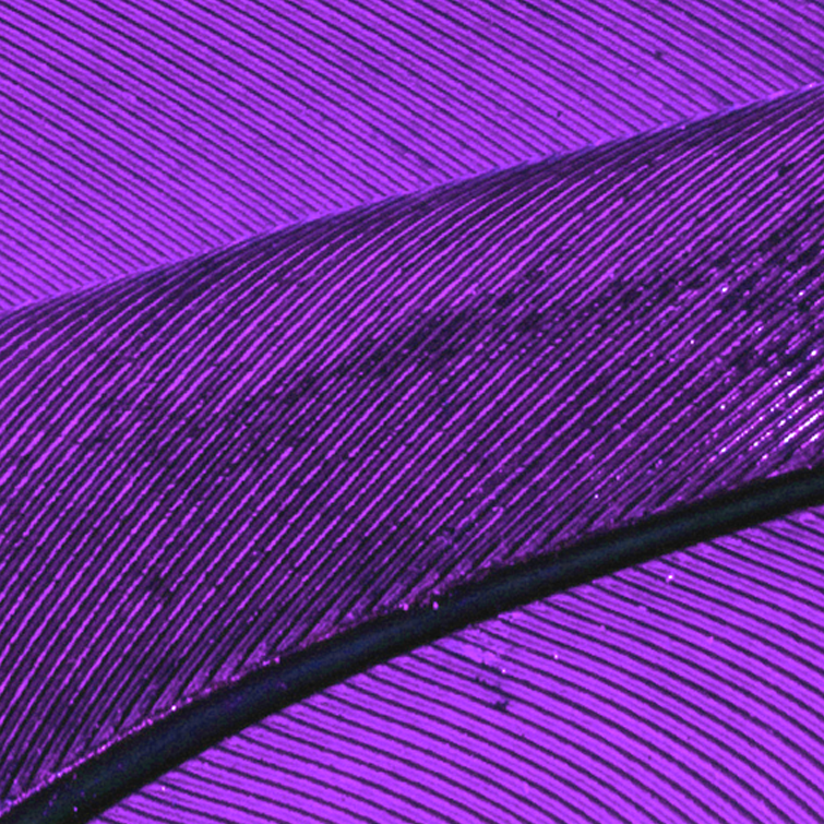 Careers | Business Services